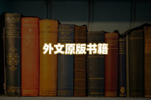 外文原版书籍